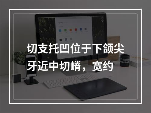 切支托凹位于下颌尖牙近中切嵴，宽约