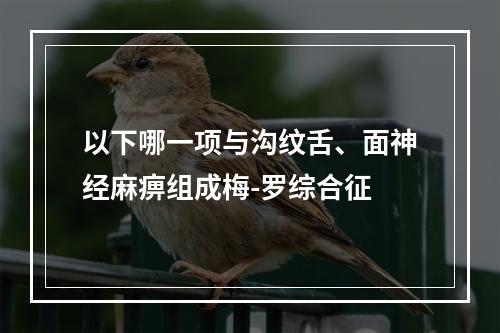 以下哪一项与沟纹舌、面神经麻痹组成梅-罗综合征