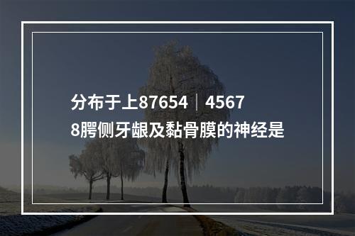 分布于上87654│45678腭侧牙龈及黏骨膜的神经是