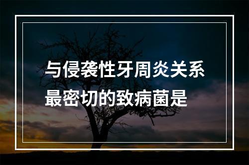 与侵袭性牙周炎关系最密切的致病菌是