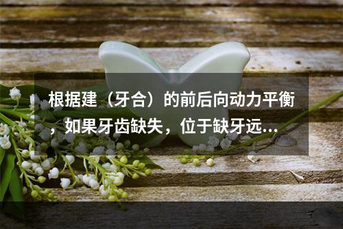 根据建（牙合）的前后向动力平衡，如果牙齿缺失，位于缺牙远中的