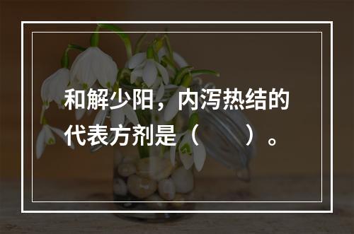 和解少阳，内泻热结的代表方剂是（　　）。