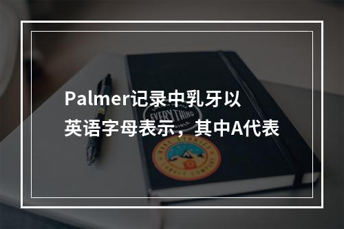 Palmer记录中乳牙以英语字母表示，其中A代表