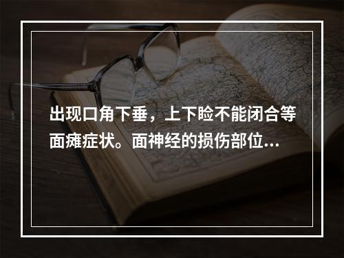 出现口角下垂，上下睑不能闭合等面瘫症状。面神经的损伤部位位于