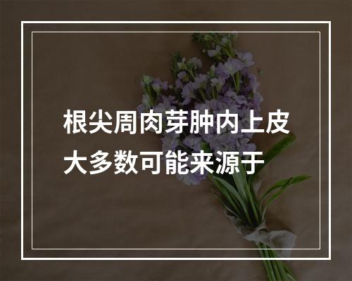 根尖周肉芽肿内上皮大多数可能来源于