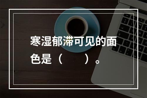 寒湿郁滞可见的面色是（　　）。