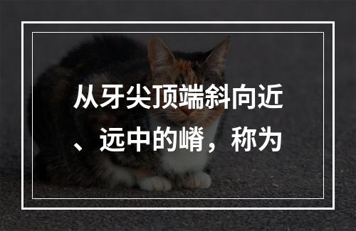 从牙尖顶端斜向近、远中的嵴，称为