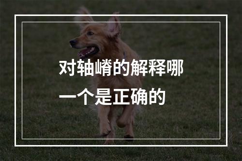 对轴嵴的解释哪一个是正确的