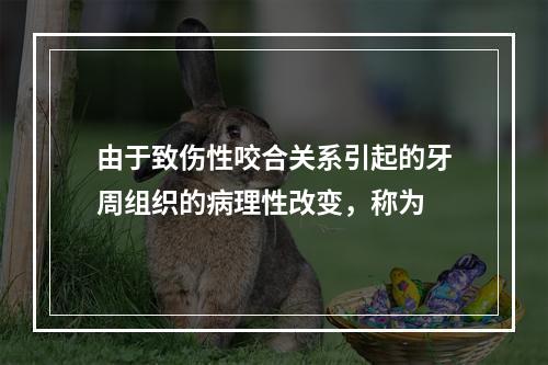 由于致伤性咬合关系引起的牙周组织的病理性改变，称为