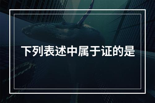 下列表述中属于证的是