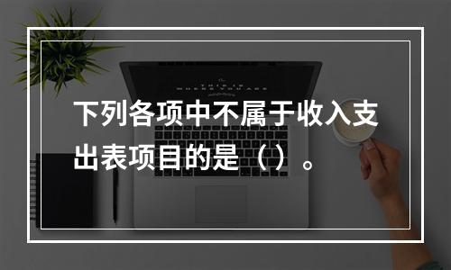 下列各项中不属于收入支出表项目的是（ ）。