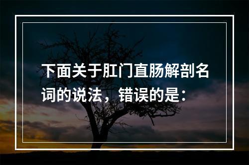 下面关于肛门直肠解剖名词的说法，错误的是：