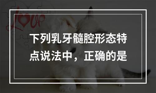 下列乳牙髓腔形态特点说法中，正确的是