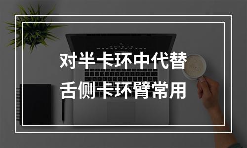 对半卡环中代替舌侧卡环臂常用