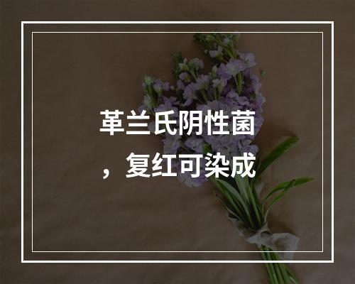 革兰氏阴性菌，复红可染成