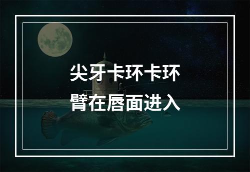 尖牙卡环卡环臂在唇面进入