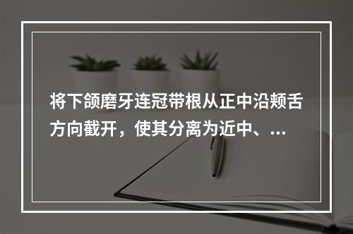 将下颌磨牙连冠带根从正中沿颊舌方向截开，使其分离为近中、远中