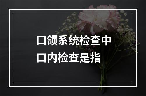 口颌系统检查中口内检查是指