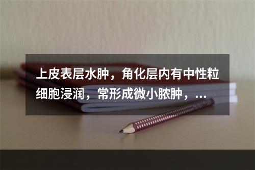 上皮表层水肿，角化层内有中性粒细胞浸润，常形成微小脓肿，且在