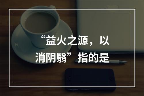 “益火之源，以消阴翳”指的是