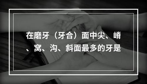 在磨牙（牙合）面中尖、嵴、窝、沟、斜面最多的牙是