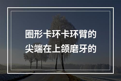 圈形卡环卡环臂的尖端在上颌磨牙的