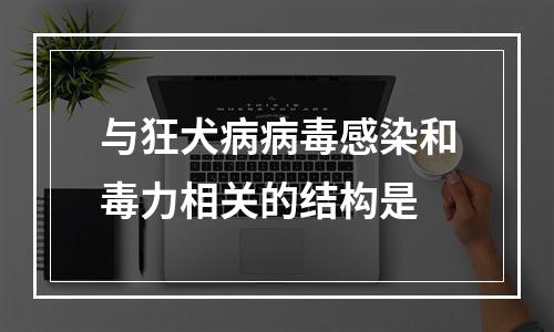 与狂犬病病毒感染和毒力相关的结构是