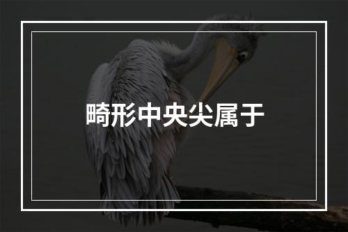 畸形中央尖属于