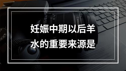 妊娠中期以后羊水的重要来源是