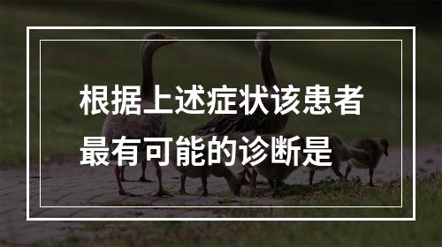 根据上述症状该患者最有可能的诊断是