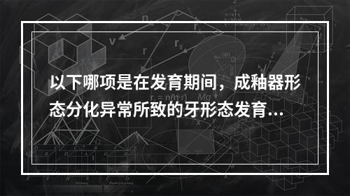 以下哪项是在发育期间，成釉器形态分化异常所致的牙形态发育异常