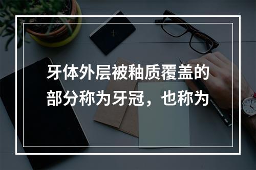 牙体外层被釉质覆盖的部分称为牙冠，也称为