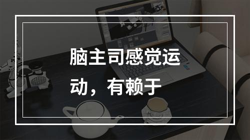 脑主司感觉运动，有赖于