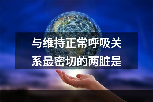 与维持正常呼吸关系最密切的两脏是