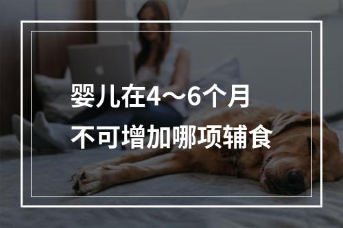 婴儿在4～6个月不可增加哪项辅食