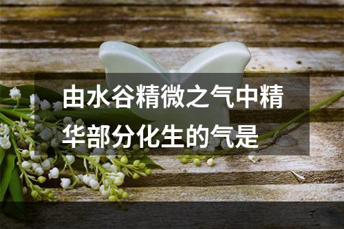 由水谷精微之气中精华部分化生的气是