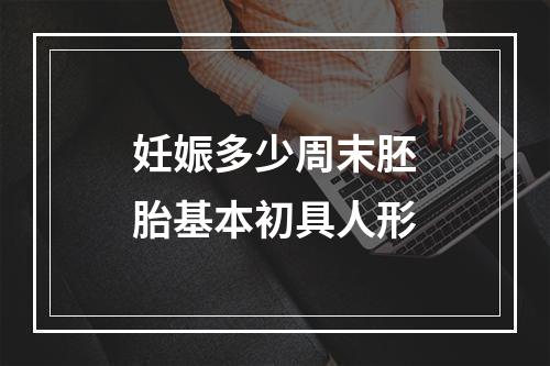 妊娠多少周末胚胎基本初具人形