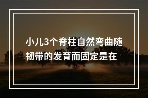 小儿3个脊柱自然弯曲随韧带的发育而固定是在