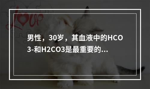 男性，30岁，其血液中的HCO3-和H2CO3是最重要的一对