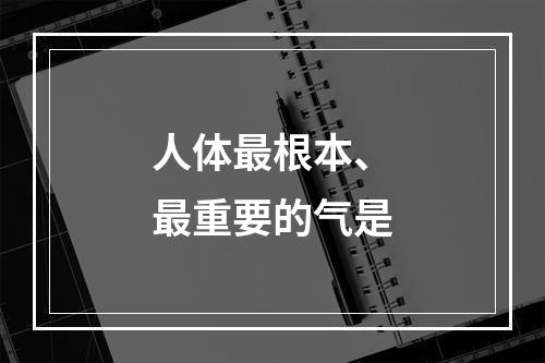 人体最根本、最重要的气是