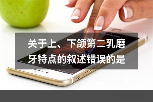 关于上、下颌第二乳磨牙特点的叙述错误的是