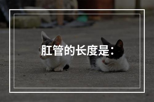 肛管的长度是：