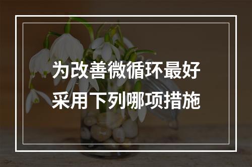 为改善微循环最好采用下列哪项措施