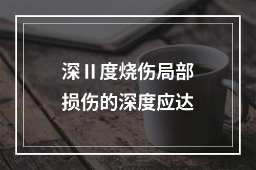 深Ⅱ度烧伤局部损伤的深度应达