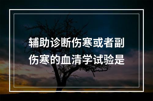 辅助诊断伤寒或者副伤寒的血清学试验是