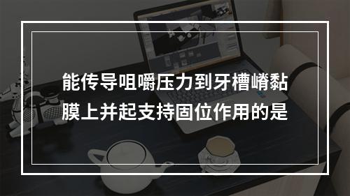 能传导咀嚼压力到牙槽嵴黏膜上并起支持固位作用的是