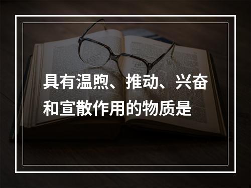 具有温煦、推动、兴奋和宣散作用的物质是