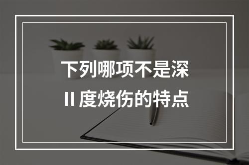 下列哪项不是深Ⅱ度烧伤的特点