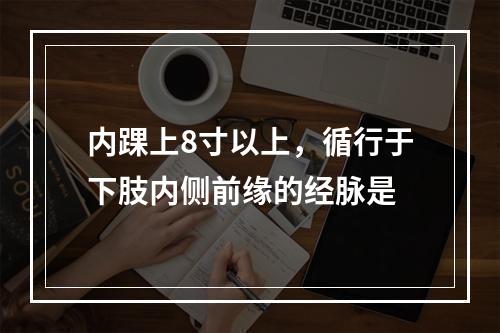 内踝上8寸以上，循行于下肢内侧前缘的经脉是