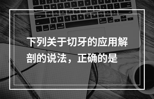 下列关于切牙的应用解剖的说法，正确的是